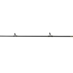 Penn Regiment III Solid Carbon Boat Rod