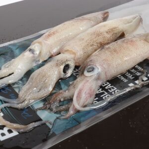 Squid Pack