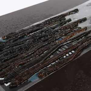 Black Lug