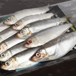 Sprats