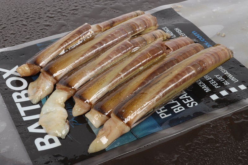 Razor Fish